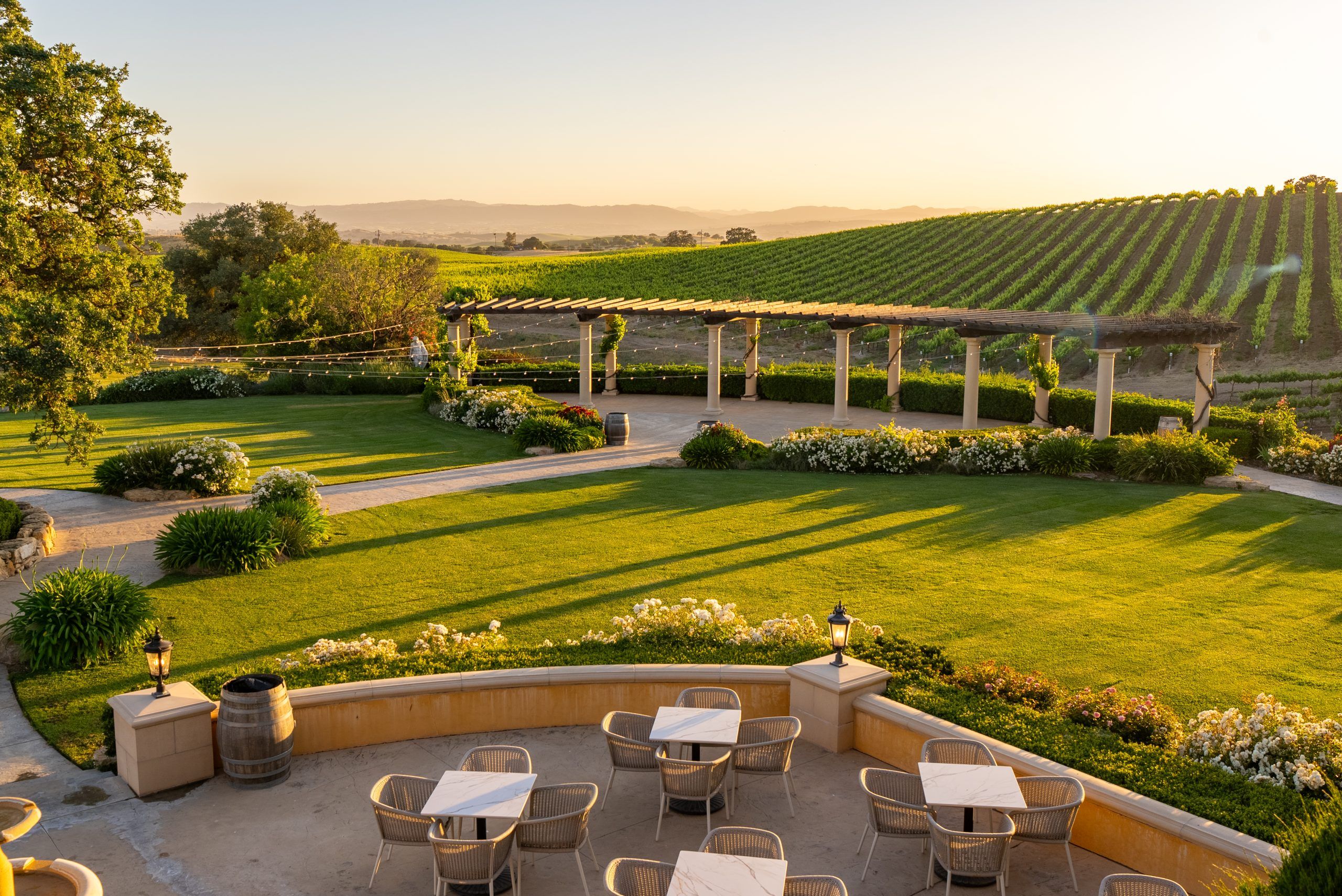 Villa San-Juliette lawn and vineyard landscape in golden evening light